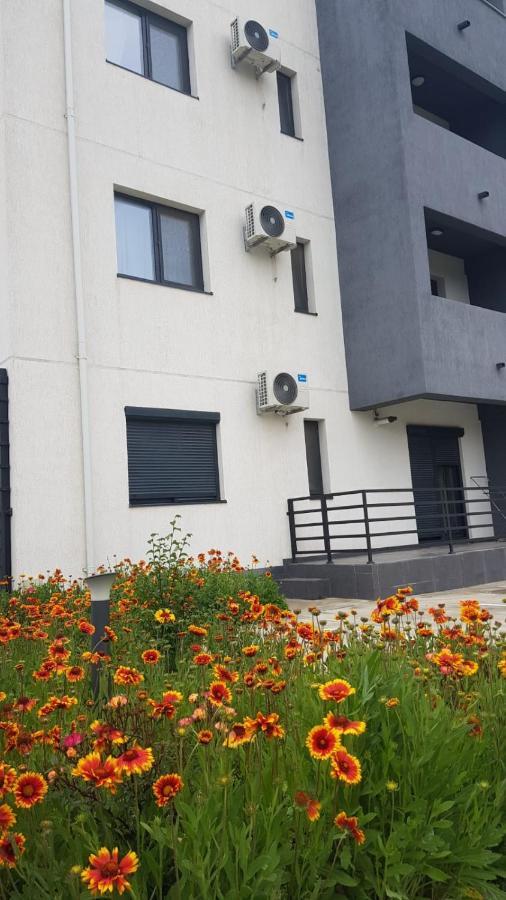 Apartament Karina Năvodari Exteriér fotografie